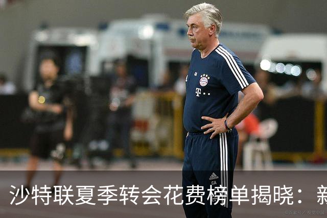 沙特联夏季转会花费榜单揭晓：新月遥遥领先，胜利名列第五